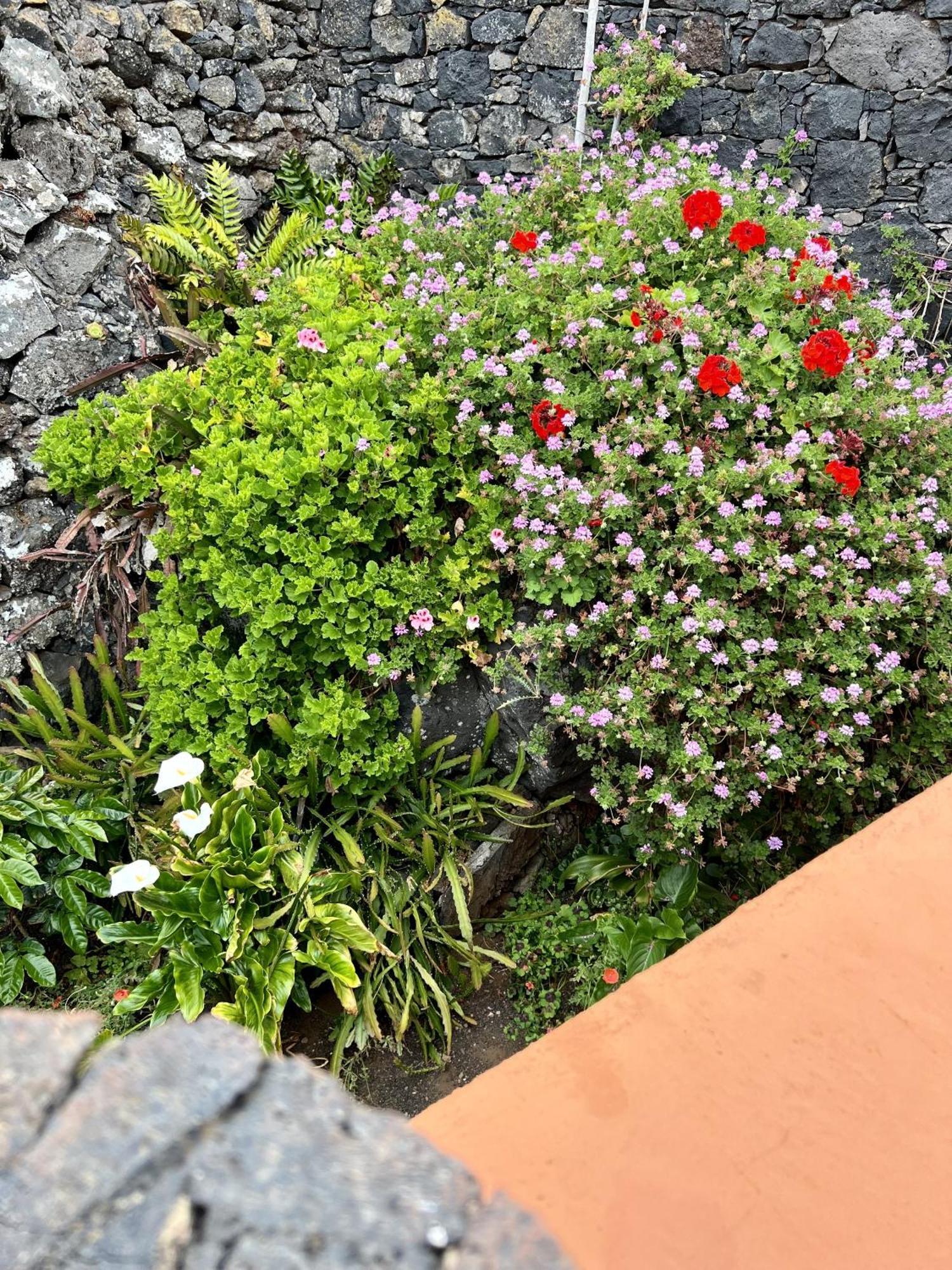 Cozy Rural House Las Guindas, El Hierro Erese ภายนอก รูปภาพ